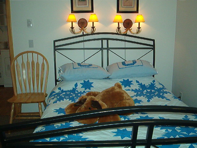 Click here to see more pictures of the Forest second master bedroom.