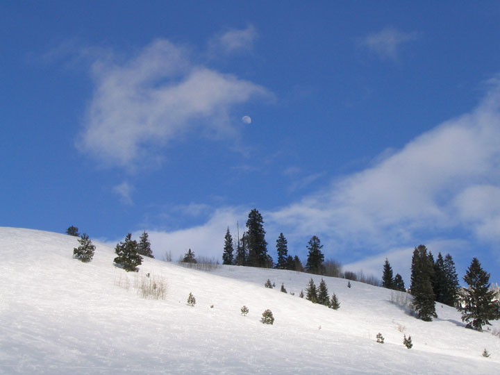 Brundage Summit